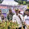 Wabup dr. H. Irfan Hadiri Panen Raya Jagung Hibrida di Langgudu